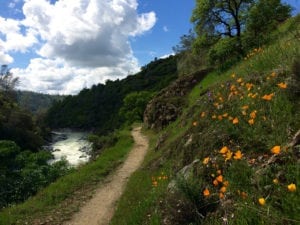 A scenic picture of the Buttermilk Bend Trail