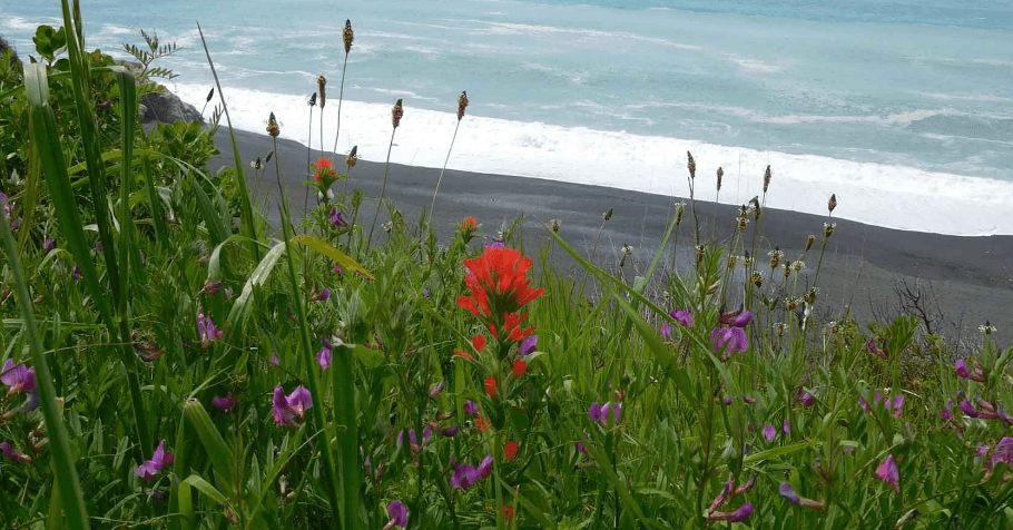 Lost Coast