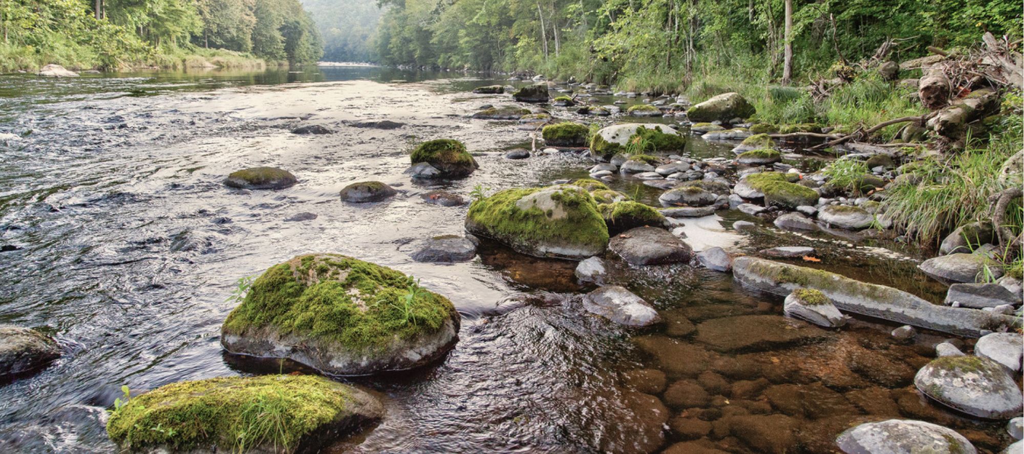 Farmington River Watershed Association 