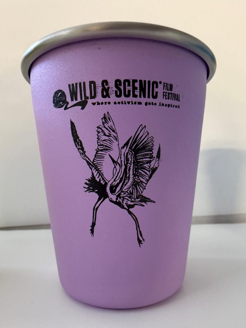 2025 Klean Kanteen 10oz Cup (purple)